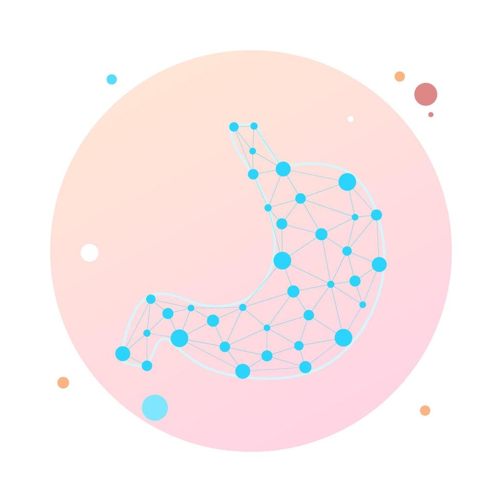 punto de estómago humano conectado. órgano de digestión interna humana saludable hecho por puntos y líneas, malla poligonal de estructura metálica, ilustración vectorial de baja poli. tratamiento de drogas de medicina saludable humana estómago. vector