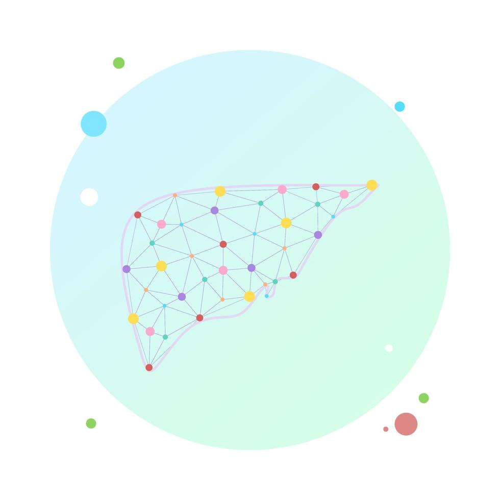 estructura de alambre de poli baja salud del hígado. modelo anatómico poligonal del hígado humano hecho de estrellas, líneas, puntos, triángulos. concepto médico y de anatomía. cirrosis y hepatitis tratamiento médico, trasplante vector