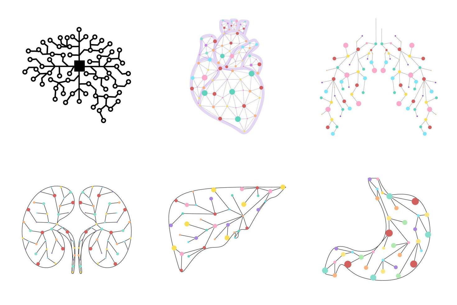 concepto de tecnología de puntos y líneas de órganos internos humanos. cerebro, hígado, estómago, corazón, pulmones, riñones conectados ilustración. Cartel científico de anatomía para la ilustración de vector de diseño de libro escolar.