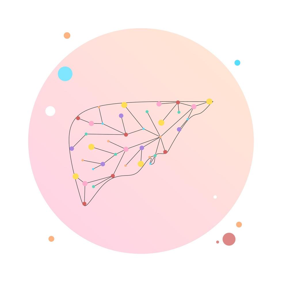 Liver health low poly wireframe. Polygonal anatomic model of human liver made of stars, lines, dots, triangles. Medical and anatomy concept. Cirrhosis and hepatitis medical treatment, transplantation vector