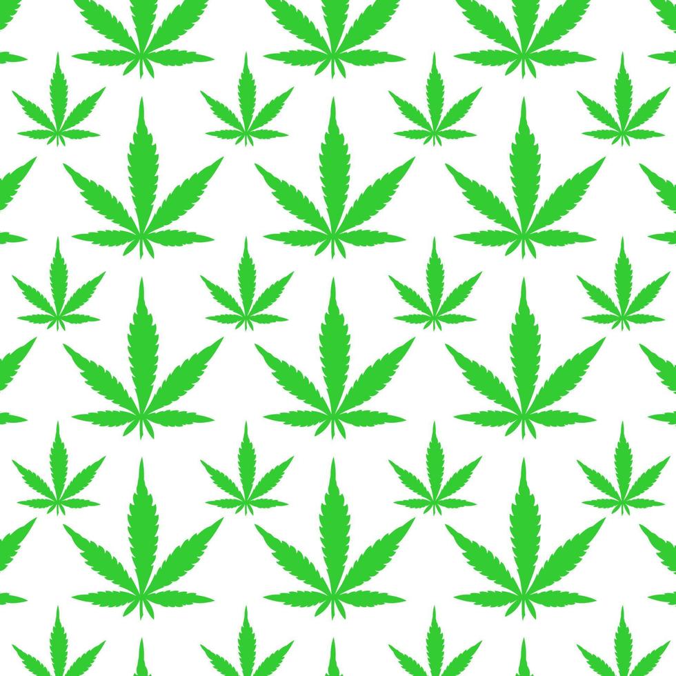 collection of green marijuana leaves vector