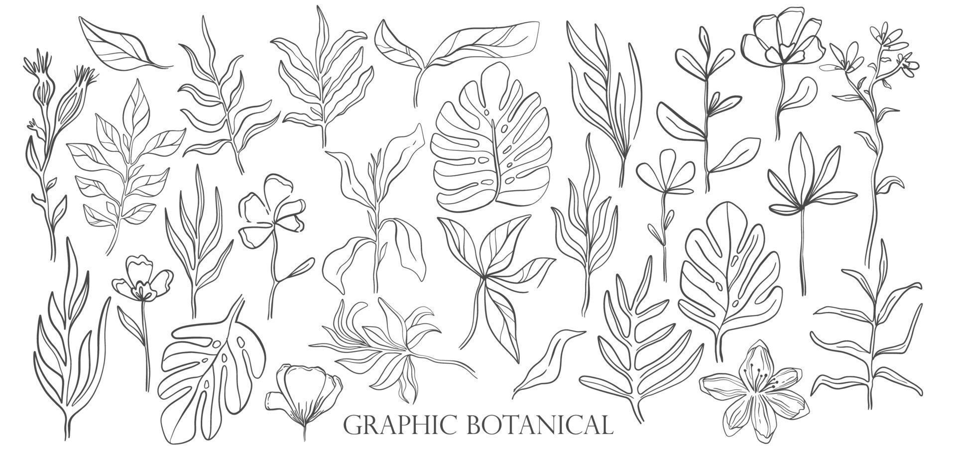 Plant and flower set drawing.Hand drawn style. vector