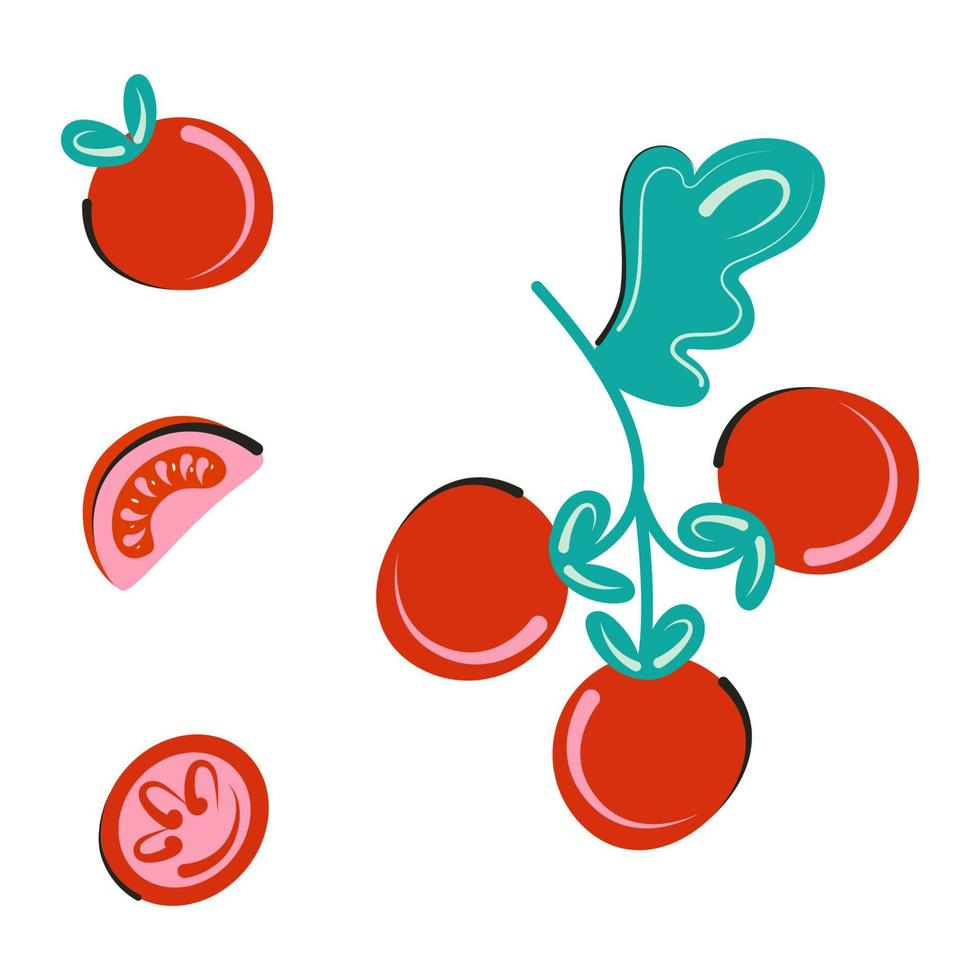 Set of vector tomato slices and a branch with ripe red vegetables