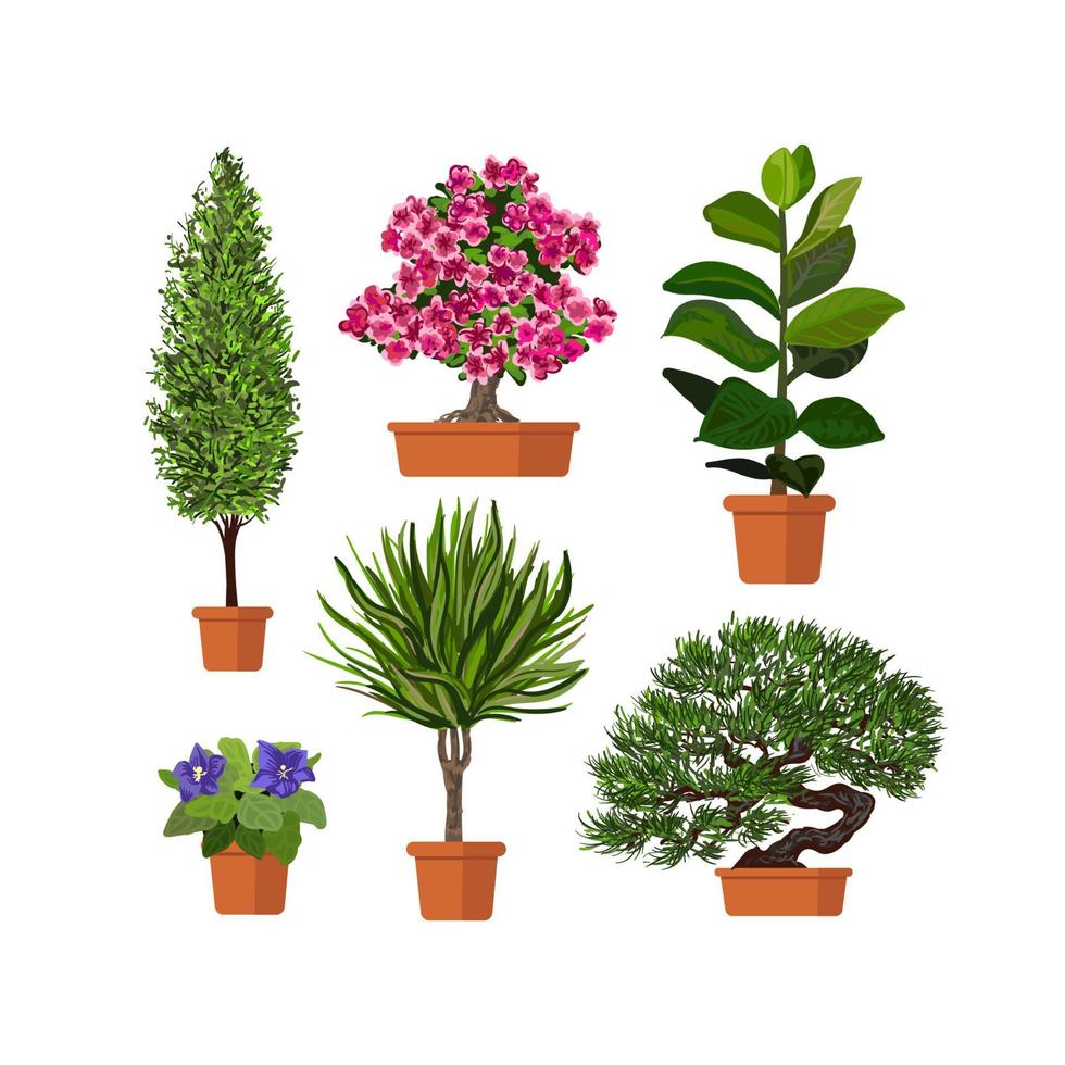 Vector colorful set of illustration of plants in pot