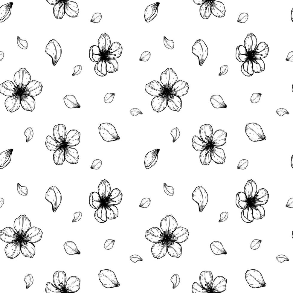 Floral pattern with hand drawn spring cherry flowers and petals. Vector illustration in sketch style isolated on white.