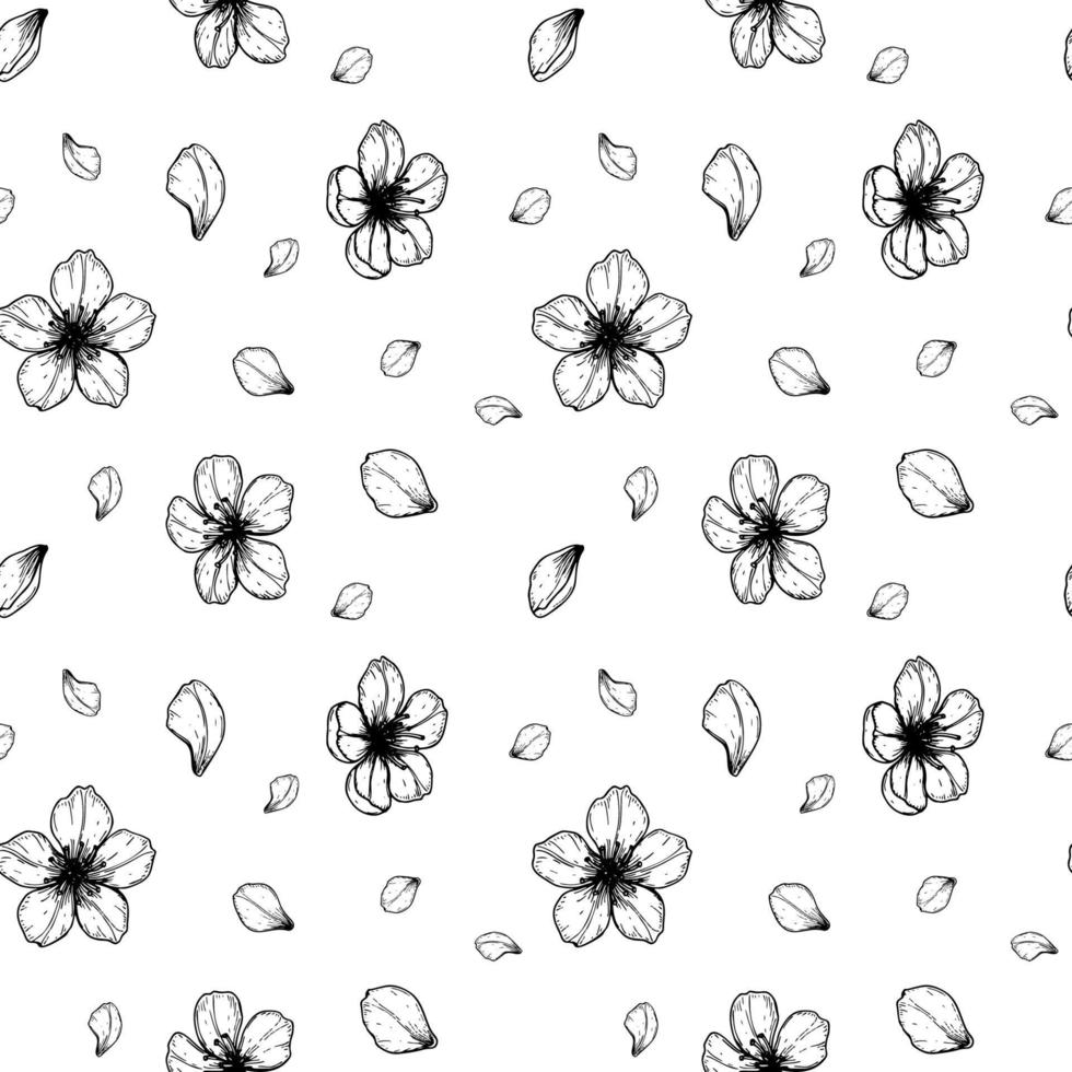 Floral pattern with hand drawn spring cherry flowers and petals. Vector illustration in sketch style isolated on white.