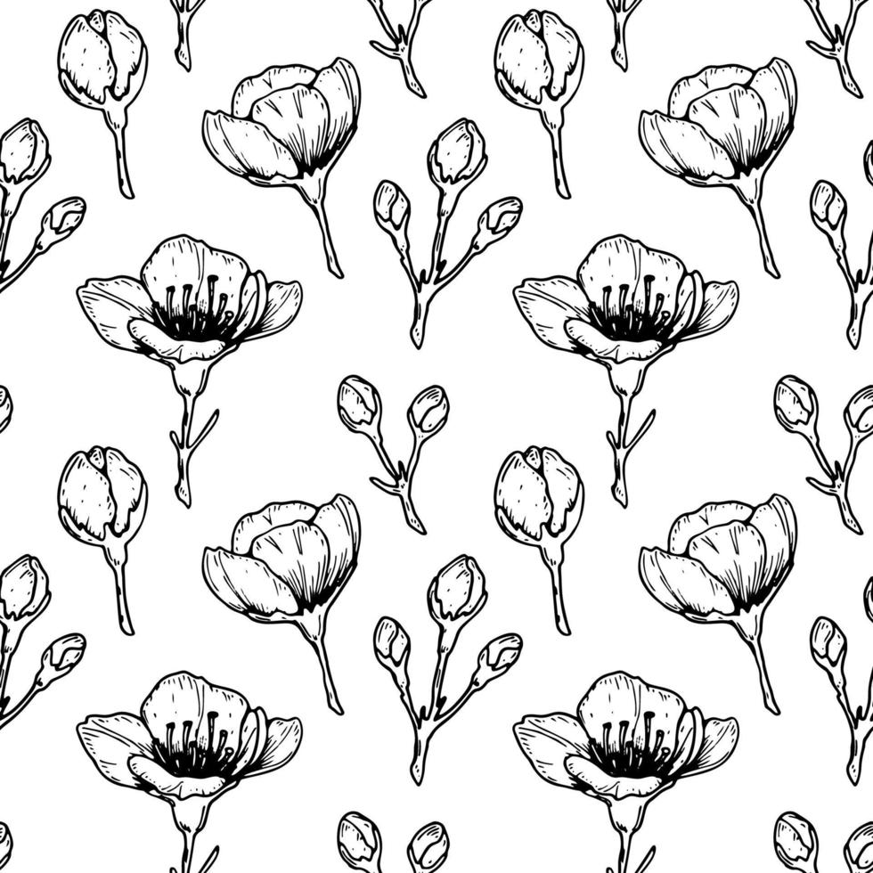 Floral seamless pattern with hand drawn spring cherry flowers and buds. Vector illustration in sketch style isolated on white.