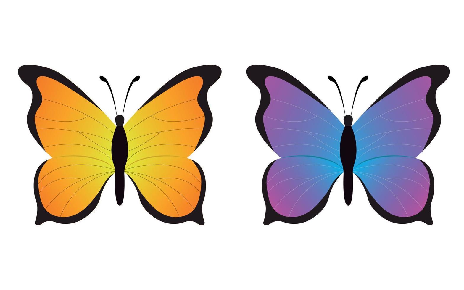 mariposa hermosa azul púrpura y amarillo anaranjado aislada en el fondo blanco. ilustración vectorial plana vector