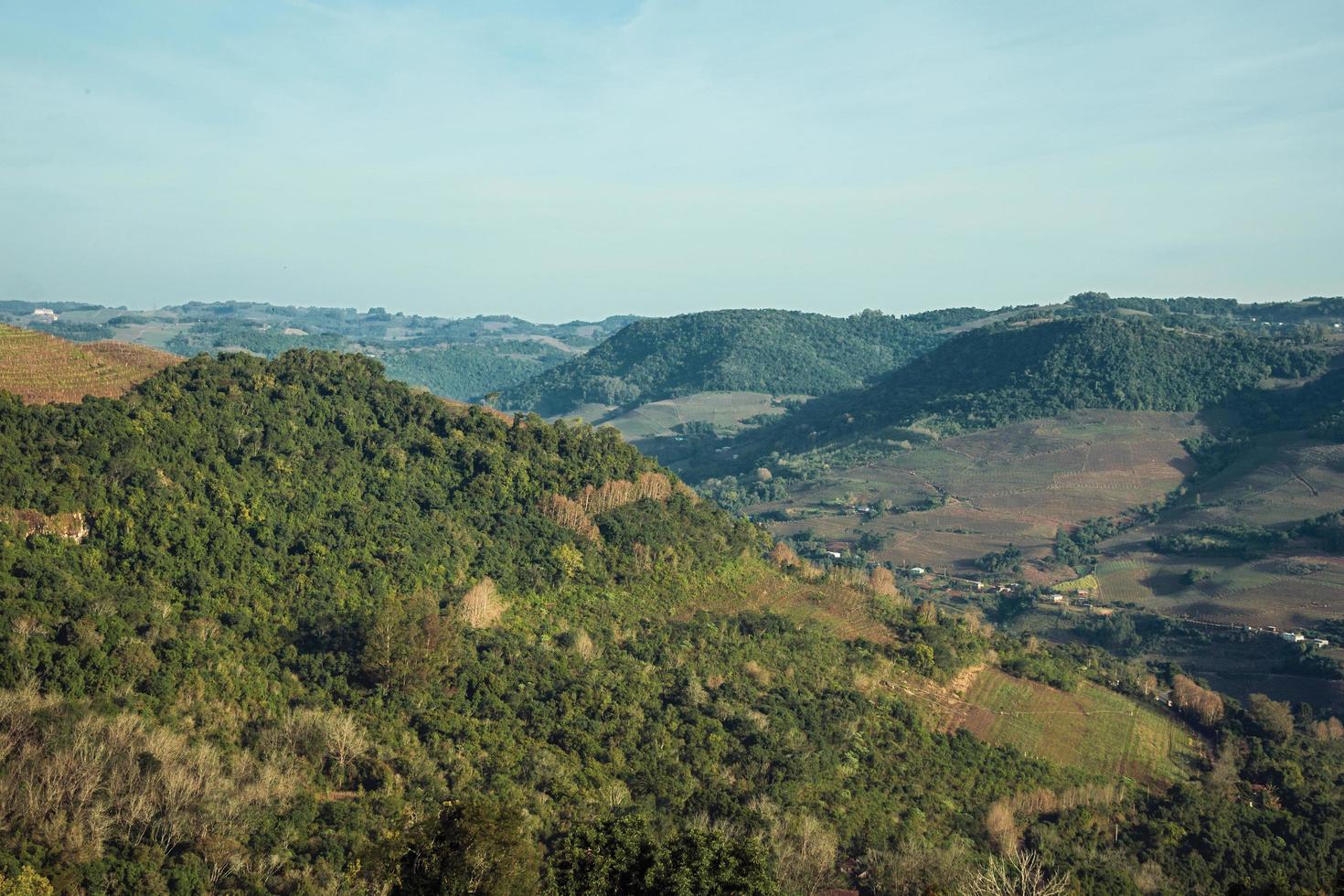 gran valle en un paisaje con escarpe cubierto de bosques, masía y viñedo cerca de bento goncalves. una acogedora ciudad rural en el sur de Brasil famosa por su producción de vino. foto