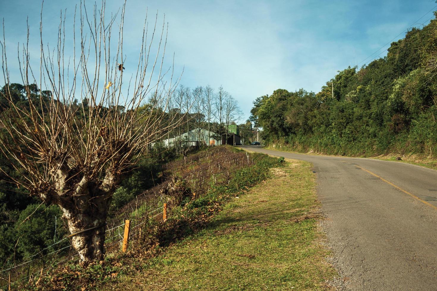 Bucolic rural landscape with asphalt road going through the hill and woods in a cloudy day near Bento Goncalves. A friendly country town in southern Brazil famous for its wine production. photo