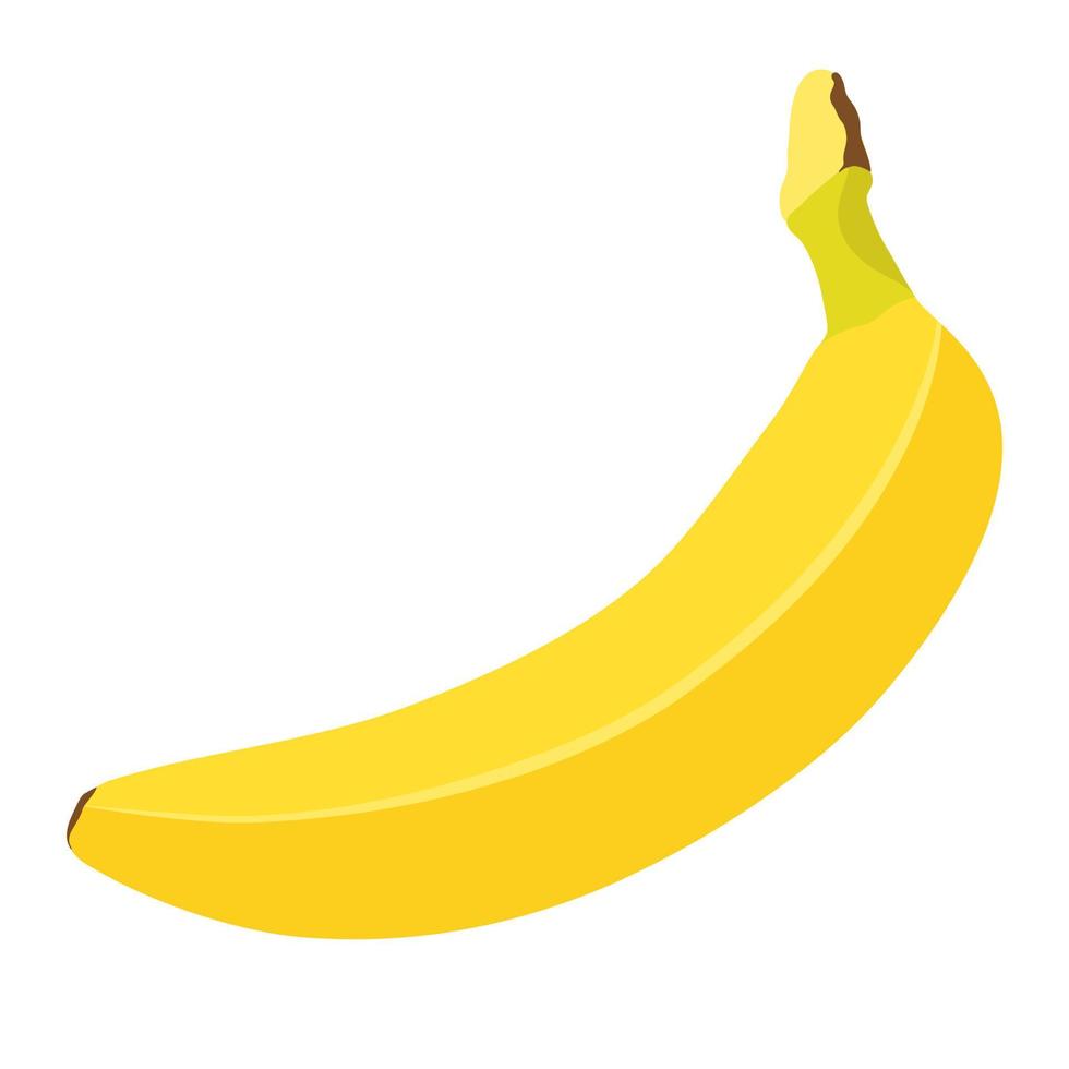 vector de dibujos animados fruta fresca de plátano.