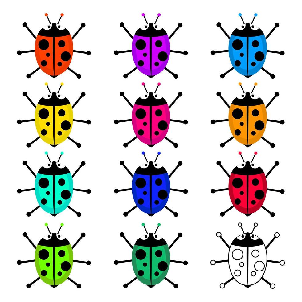 Colorful Ladybug Beetle Set vector
