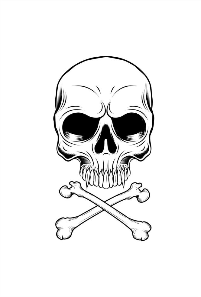 Skull and bone vector illustration