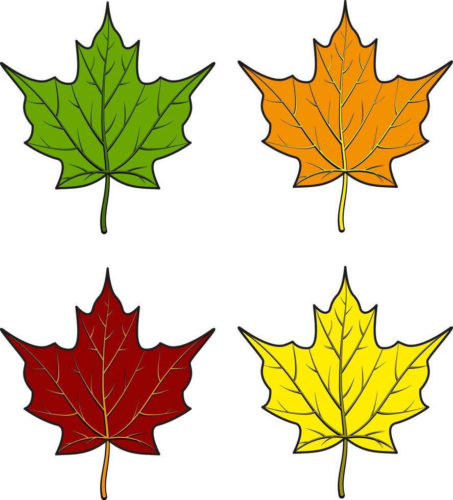 Set of colorful maple leaves icons vector
