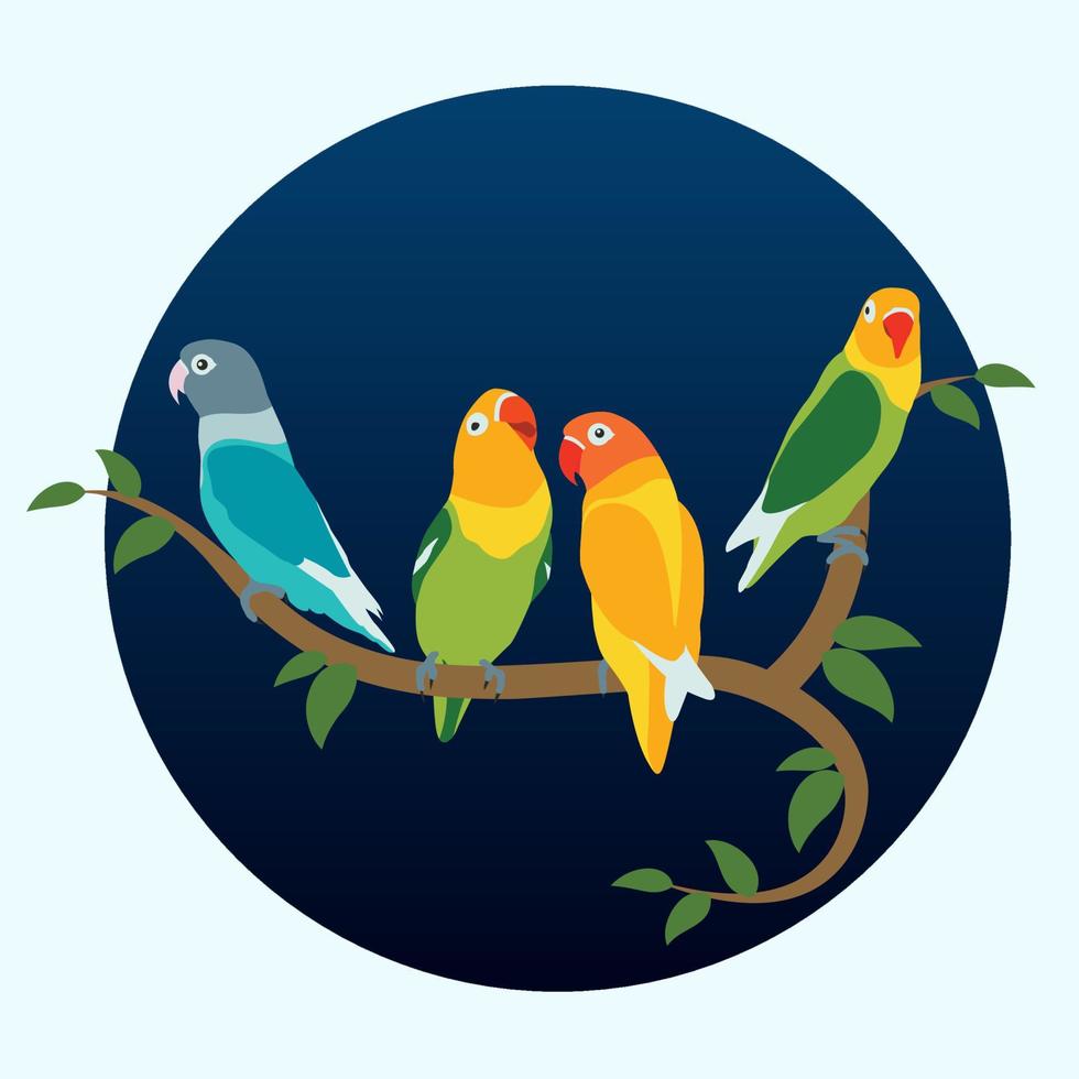varios amor pájaro color verde amarillo azul vector