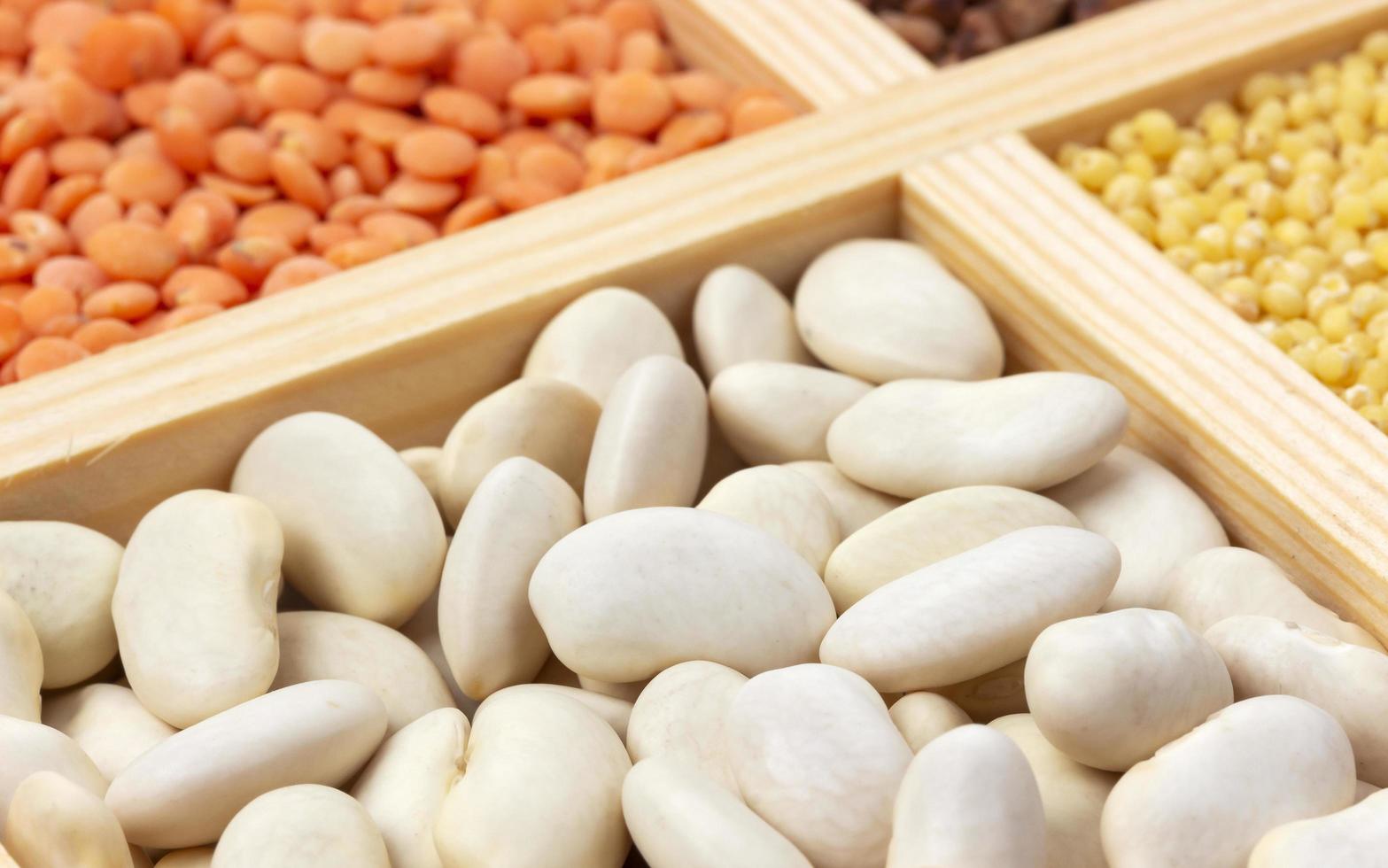 Close up of white beans background photo