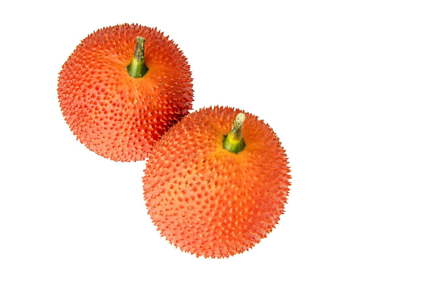 Gac fruit isolated photo