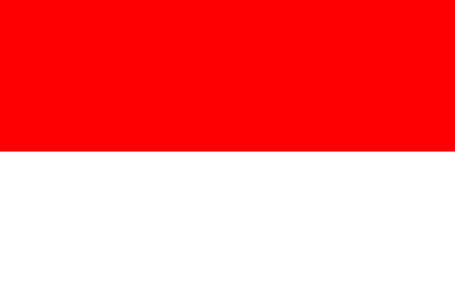 Indonesia Flag Vector