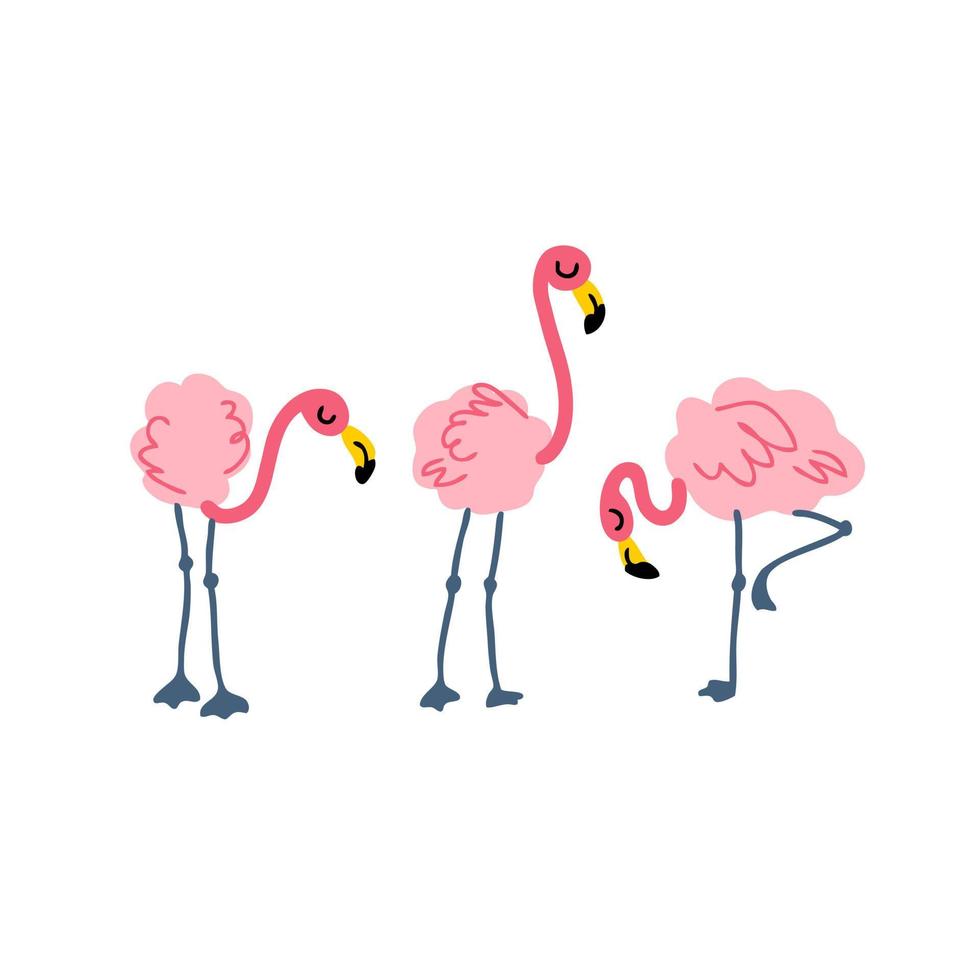 dibujado a mano tres flamencos rosados. vector