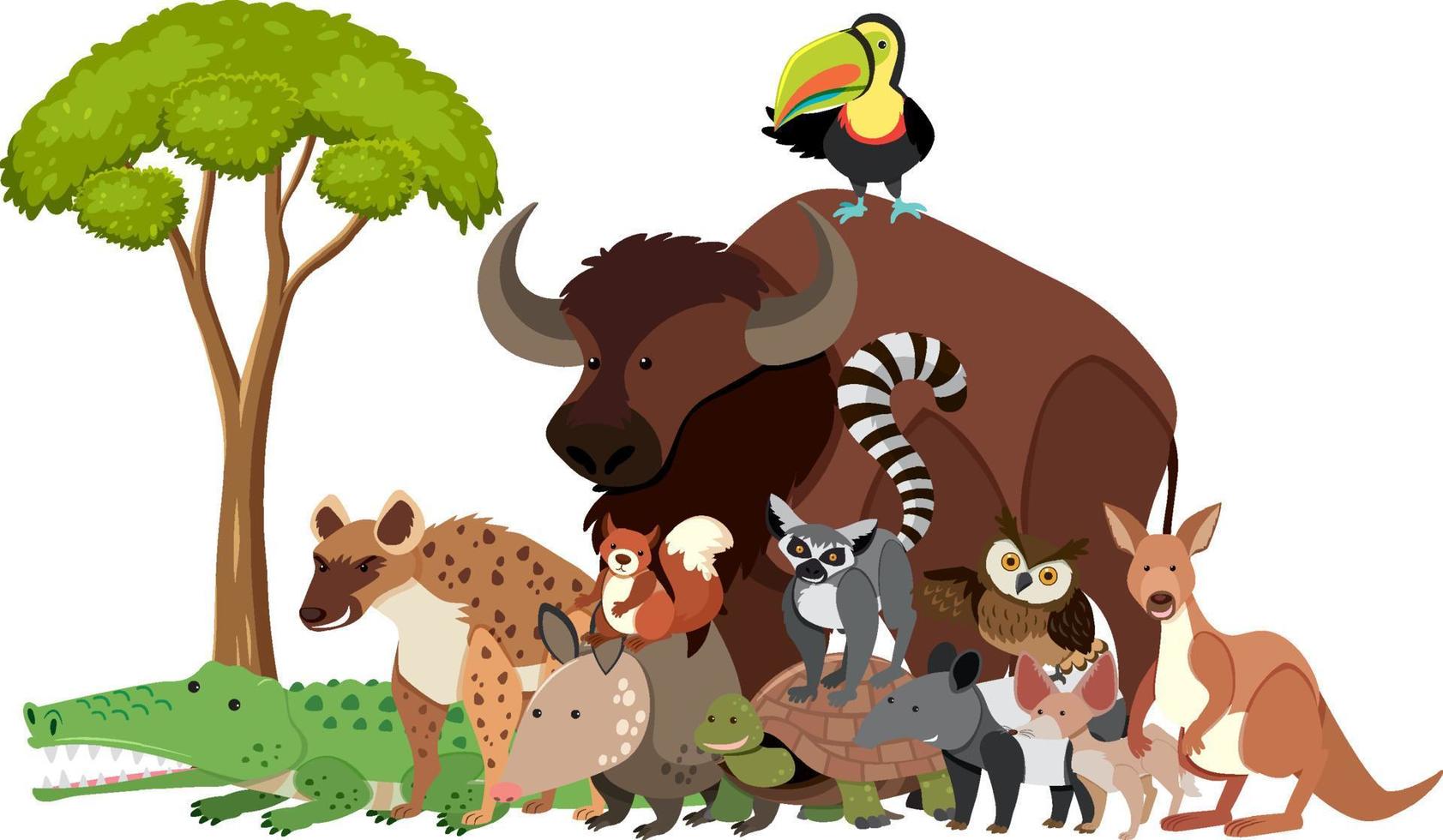 Cartoon wild animals in flat style vector