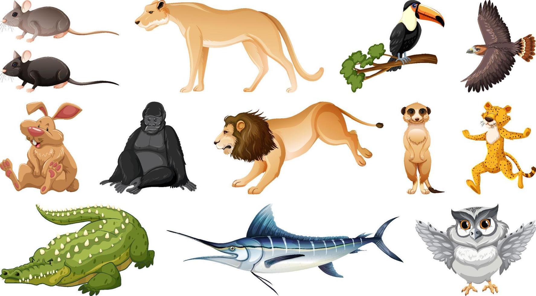 Set of different wild animals cartoon characters vector