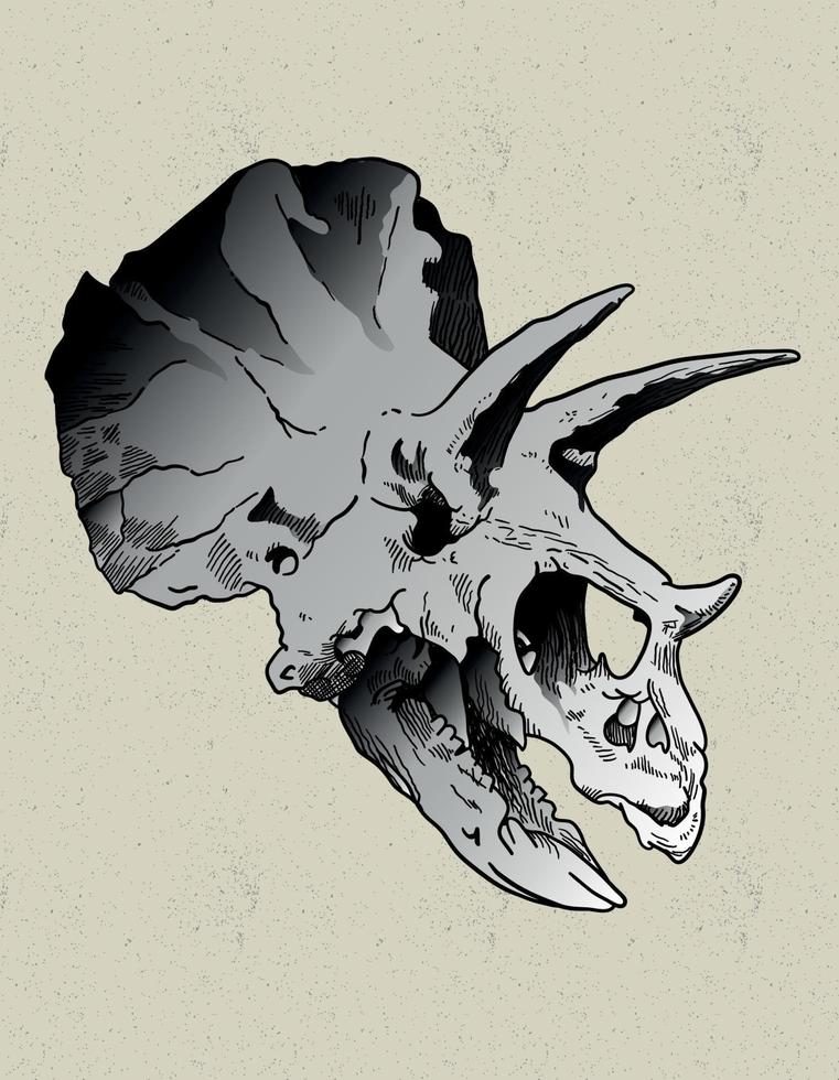 triceratops skull hand draw vector