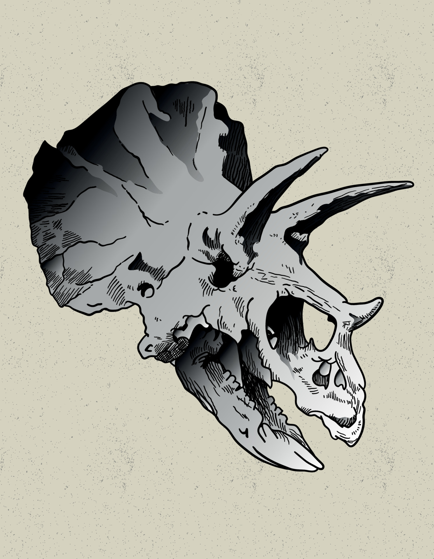 Dibujar a mano cráneo de triceratops 4759073 Vector en Vecteezy