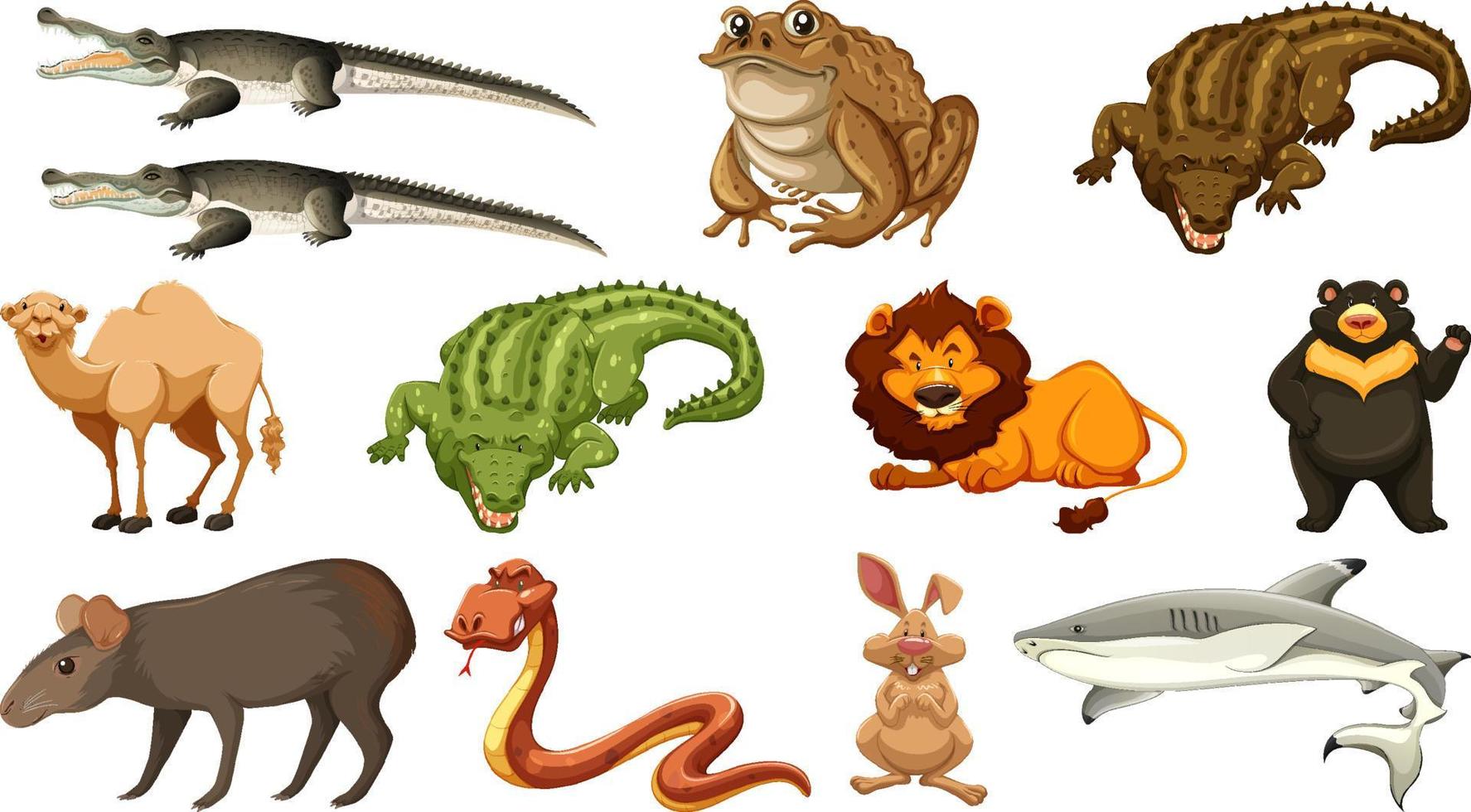 Set of different wild animals cartoon characters vector