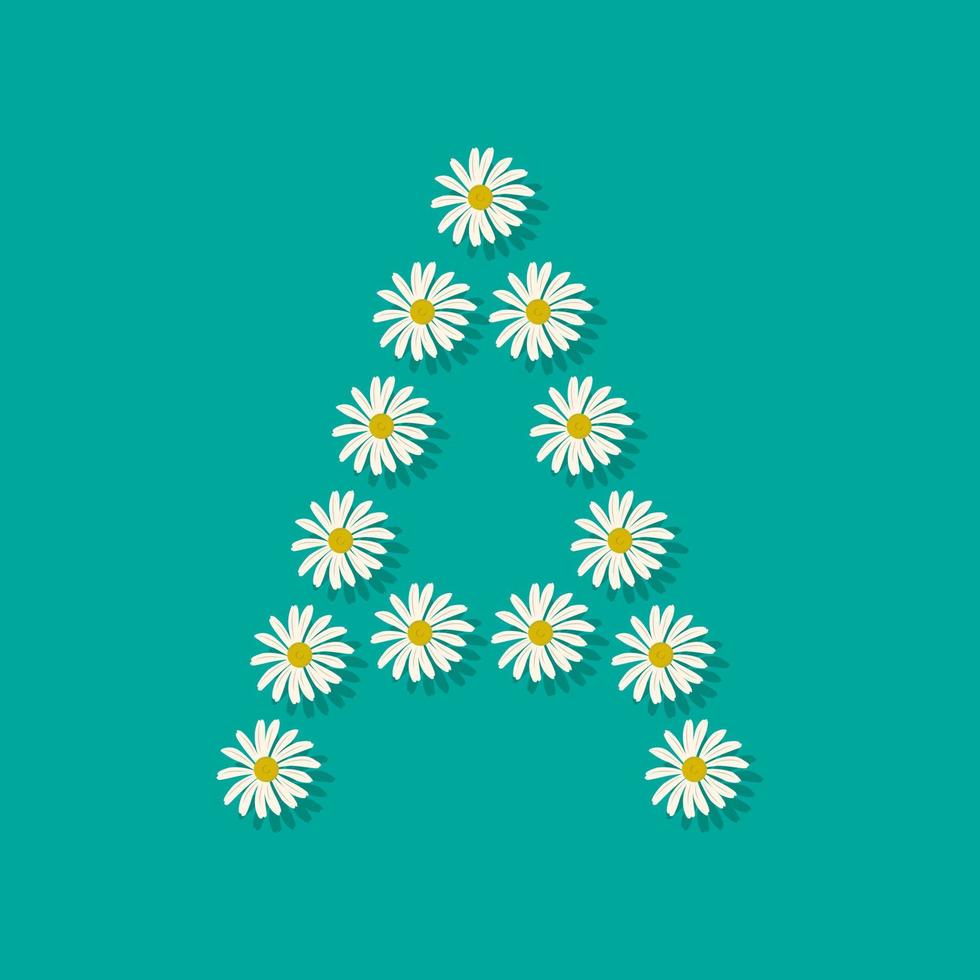 Letter A from white chamomile flowers. Festive font or decoration for spring or summer holiday and design. Vector flat illustration