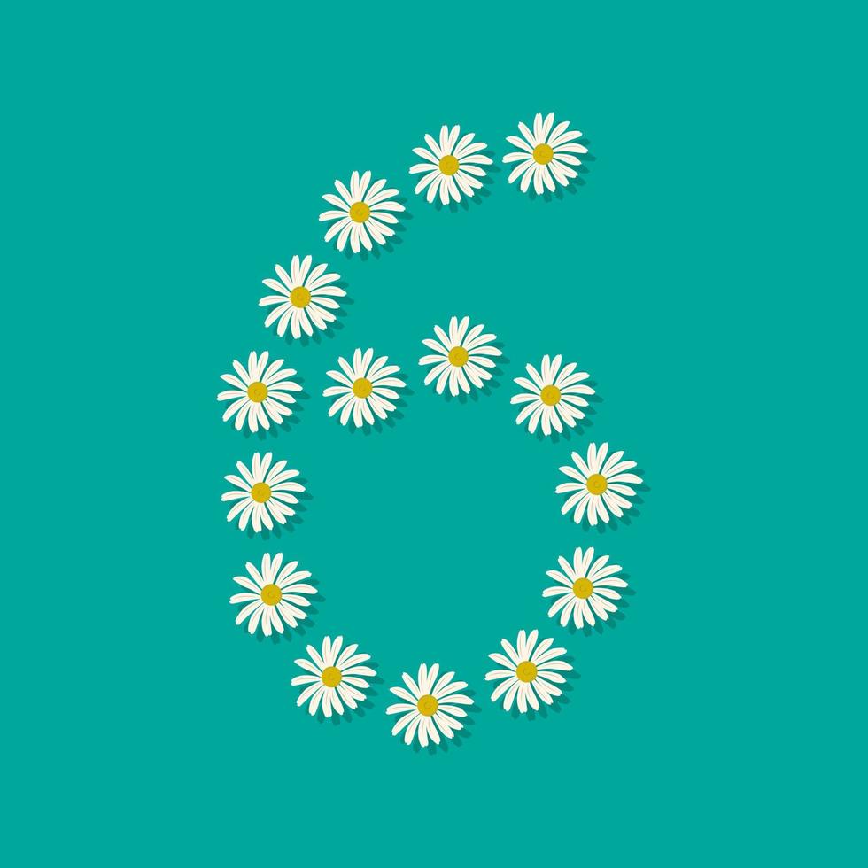 Number six from white chamomile flowers. Festive font or decoration for spring or summer holiday and design. Vector flat illustration