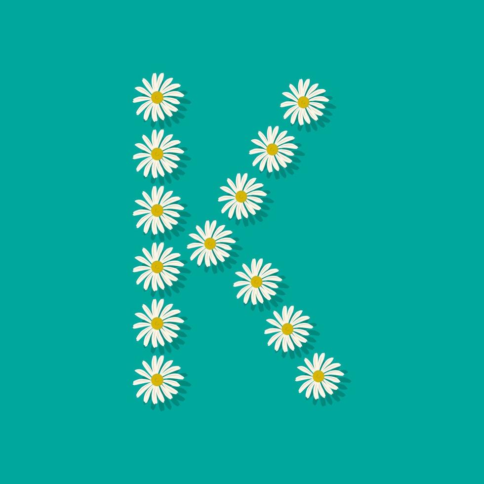 Letter K from white chamomile flowers. Festive font or decoration for spring or summer holiday and design. Vector flat illustration
