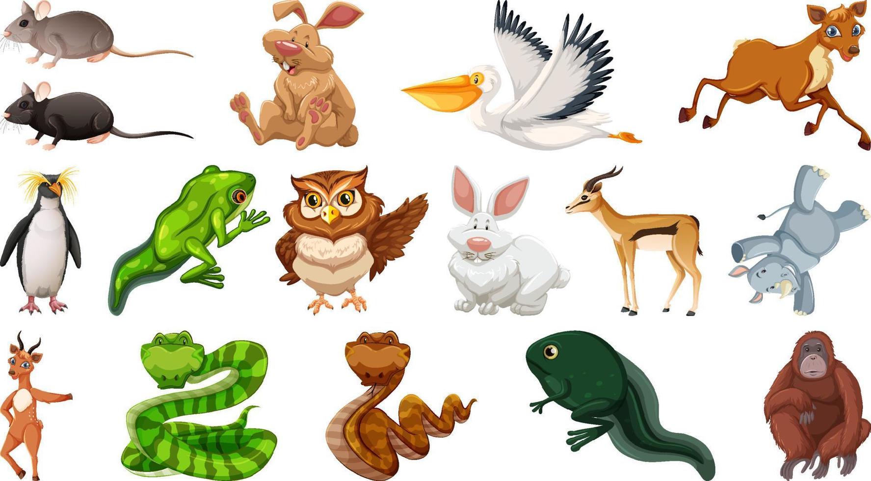 Set of different wild animals cartoon characters vector