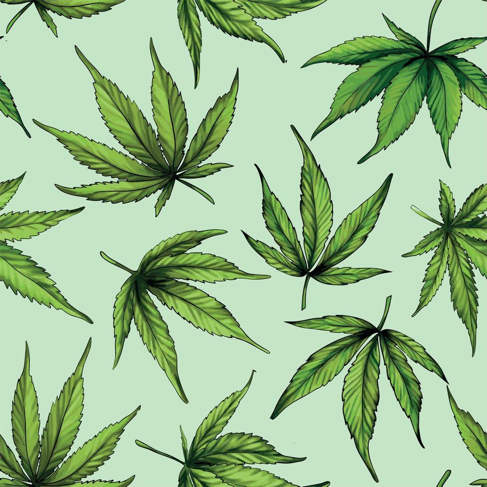 patrón sin costuras de marihuana. hojas de cáñamo verde vector