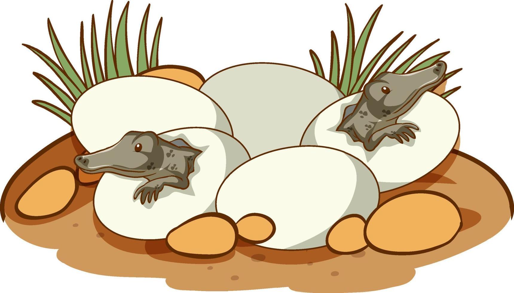 caimanes saliendo de huevos vector