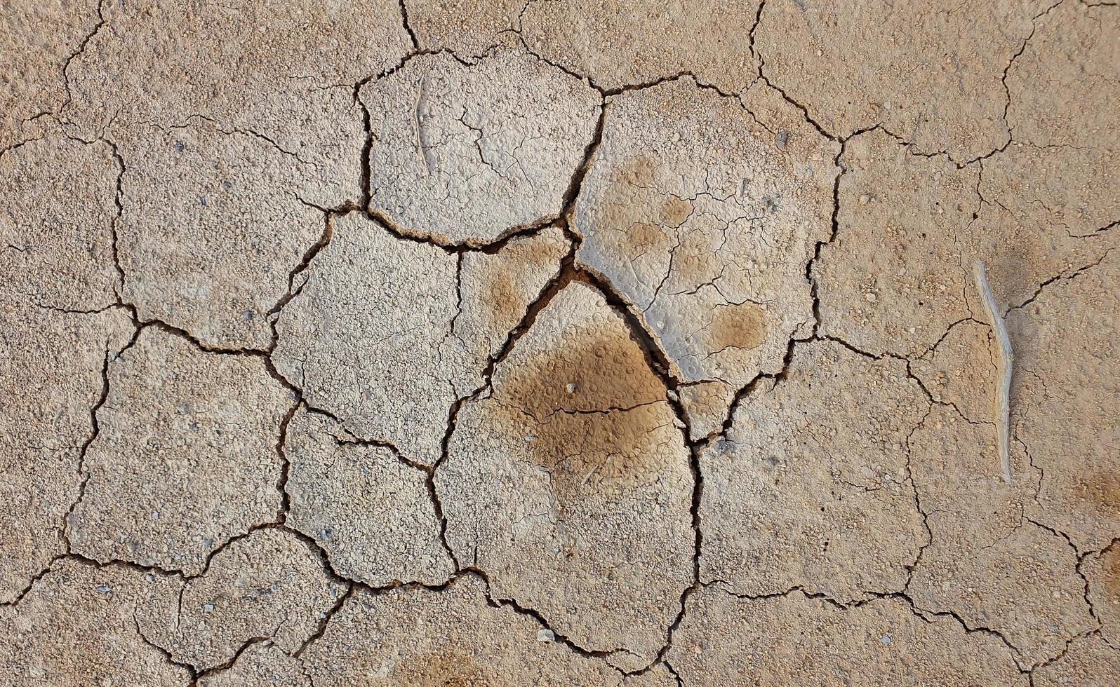 Ground cracked due to drought. Dry season causes the soil to dry and crack photo