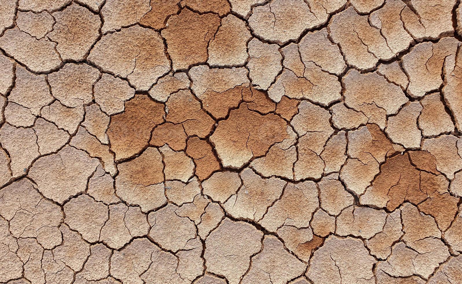 Ground cracked due to drought. Dry season causes the soil to dry and crack photo