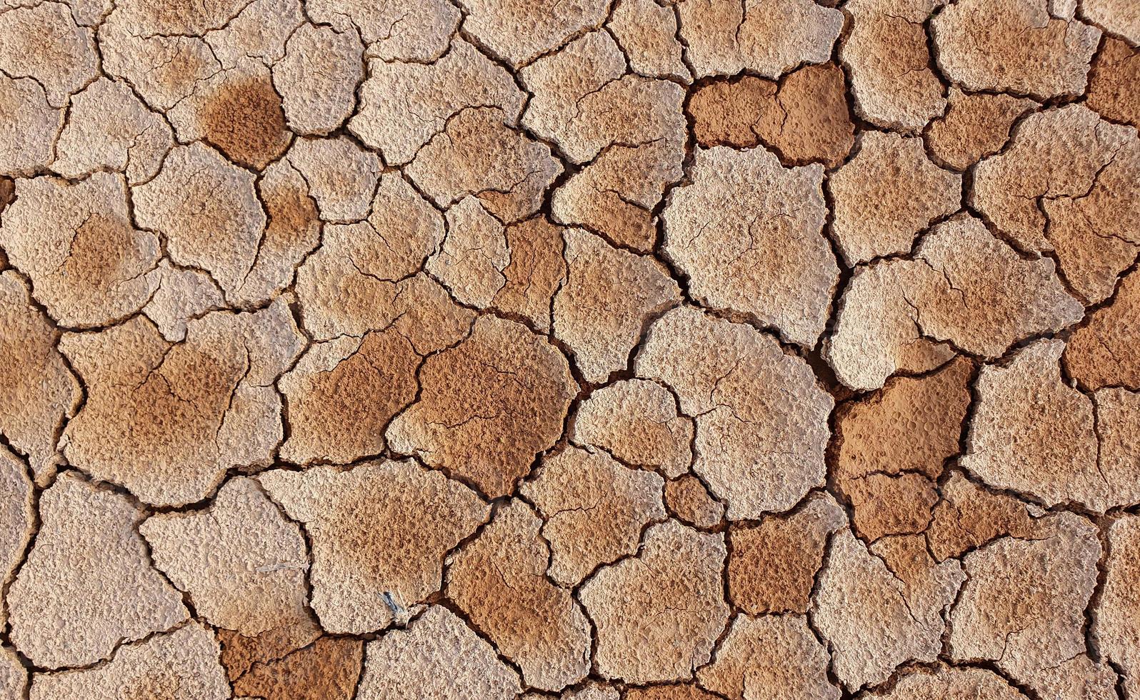 Ground cracked due to drought. Dry season causes the soil to dry and crack photo