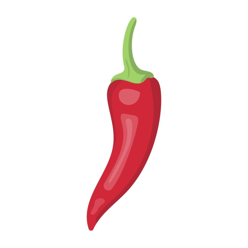 Red Chili Pepper vector