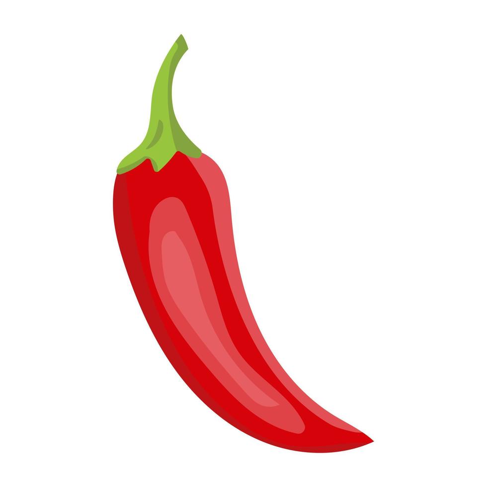 Red Chili Pepper vector