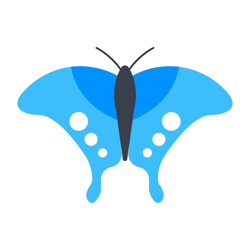 Mountain Swallowtail Butterfly vector