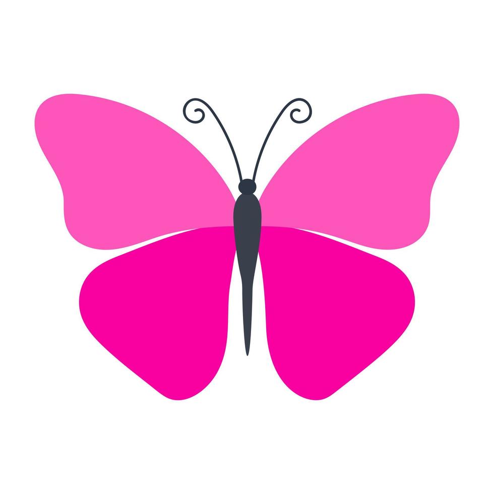 Pink Morpho Butterfly vector