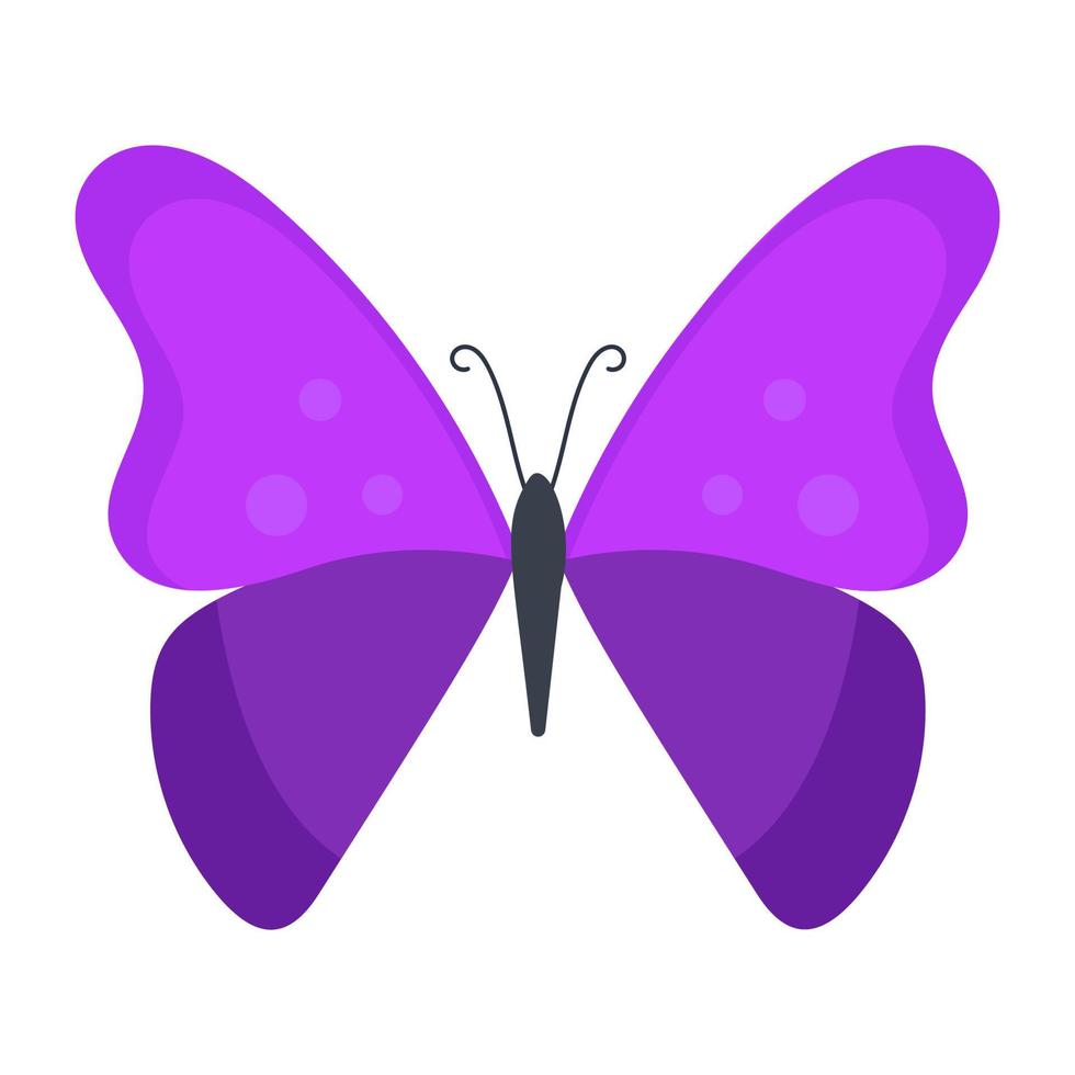 Purple Morpho Butterfly vector
