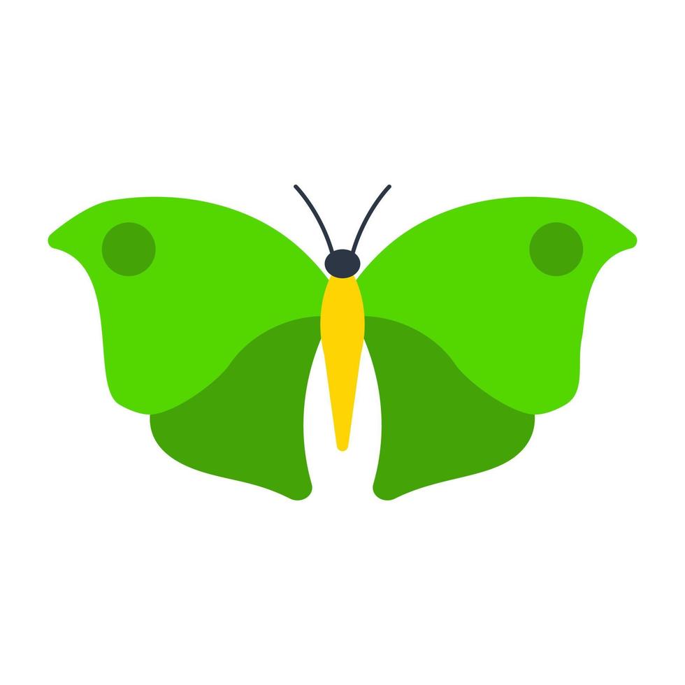 Small Heath Butterfly vector