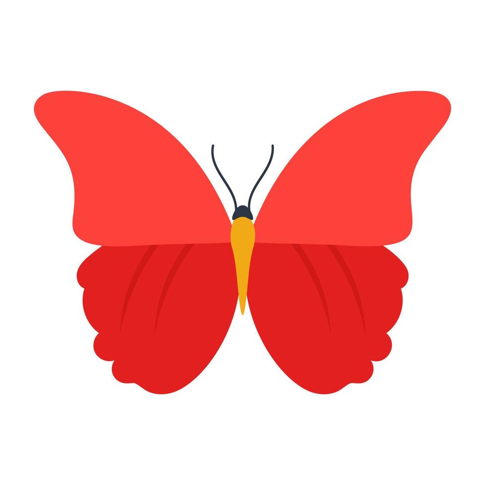 Red Cracker Butterfly vector