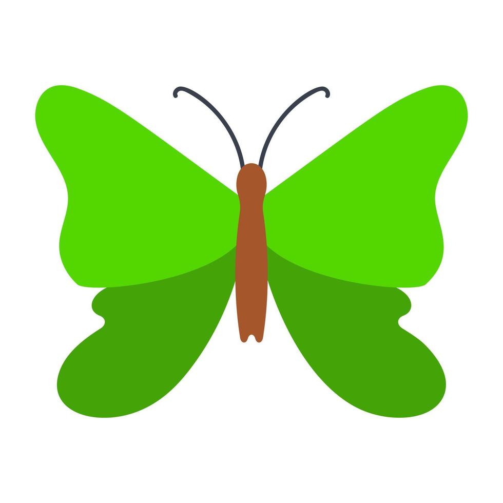 Ornithoptera Priamus Poseidon vector