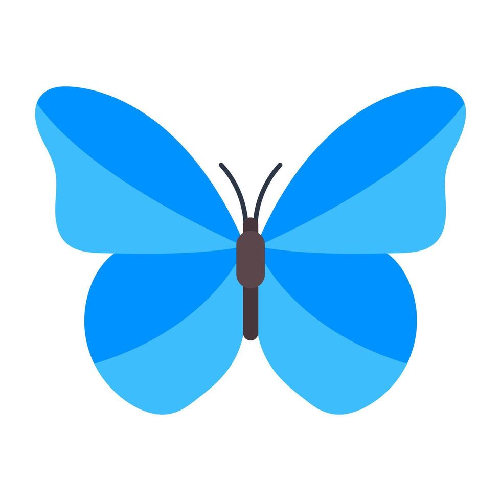 Blue Morpho Butterfly vector
