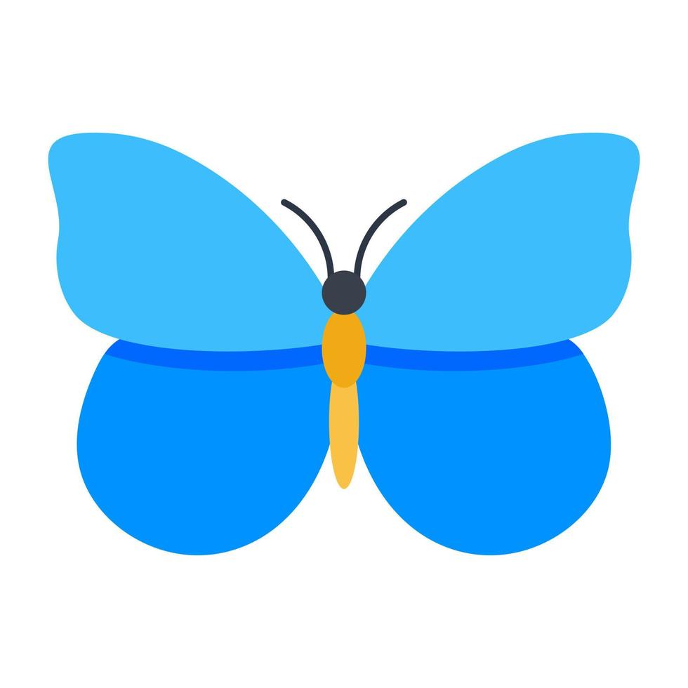 Lepidoptera Blue Butterfly vector