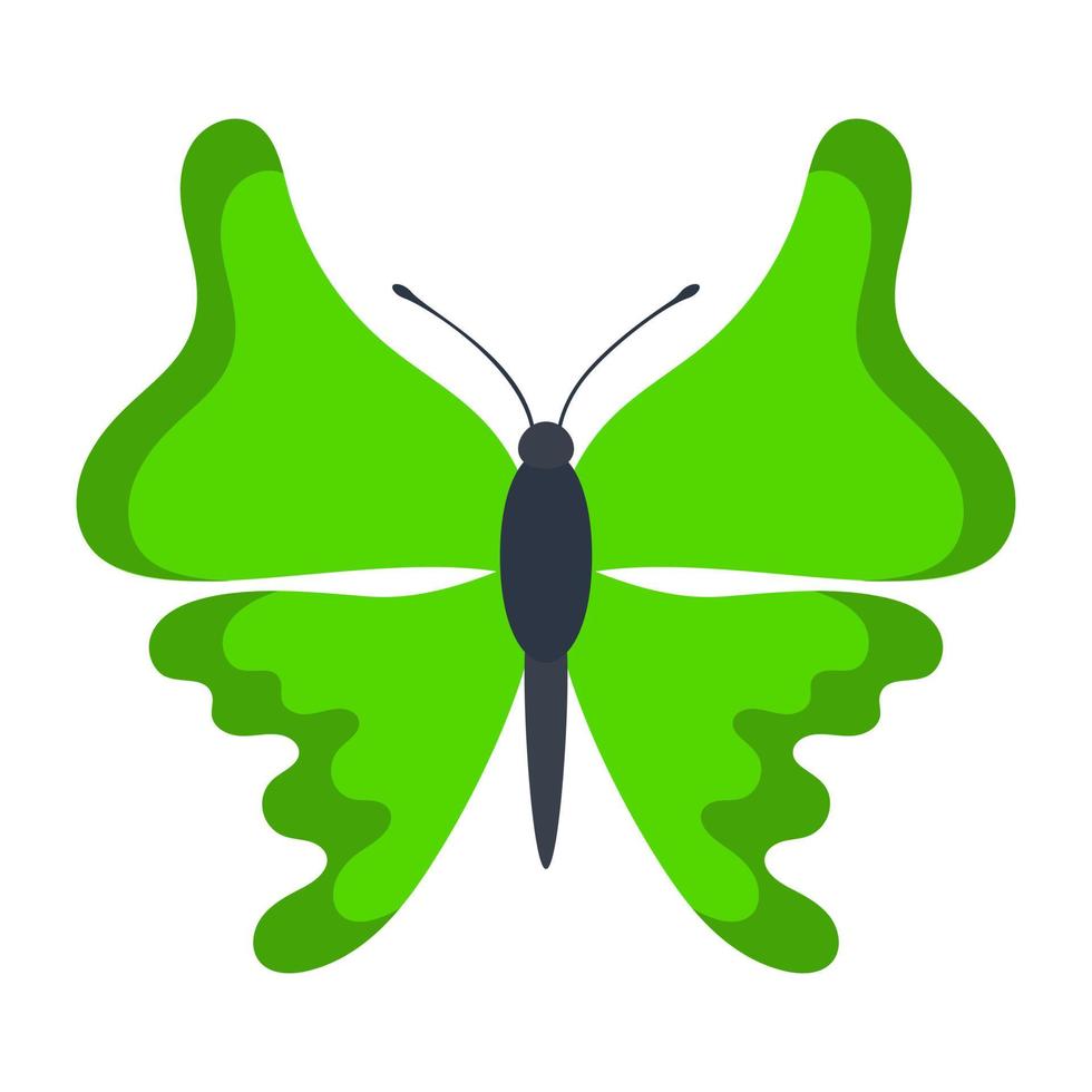 Rhetus Periander Concepts vector