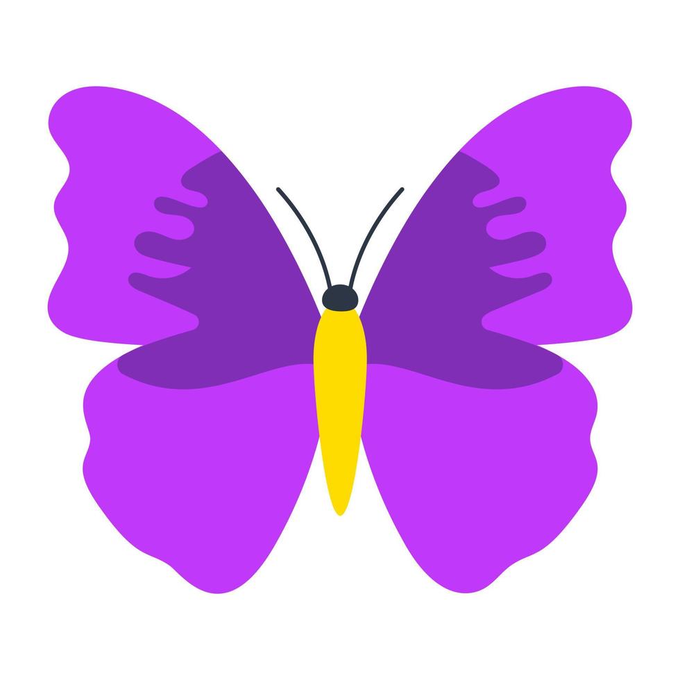 theea quereus butterfly vector