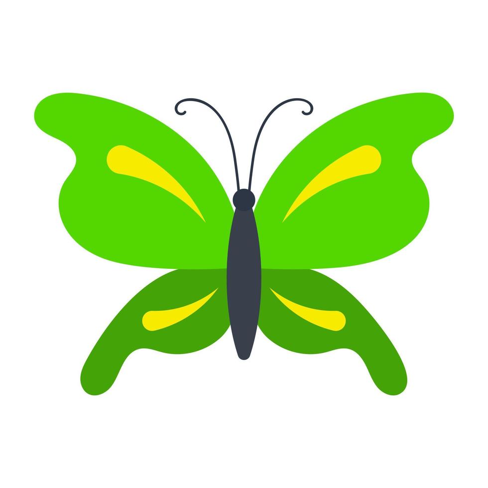 Tiger Swallowtail Butterfly vector